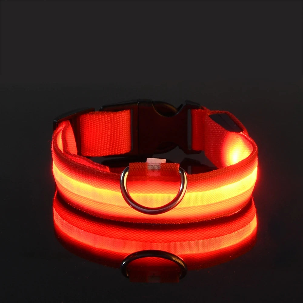 Coleira LED de Segurança para Passeios Noturnos
