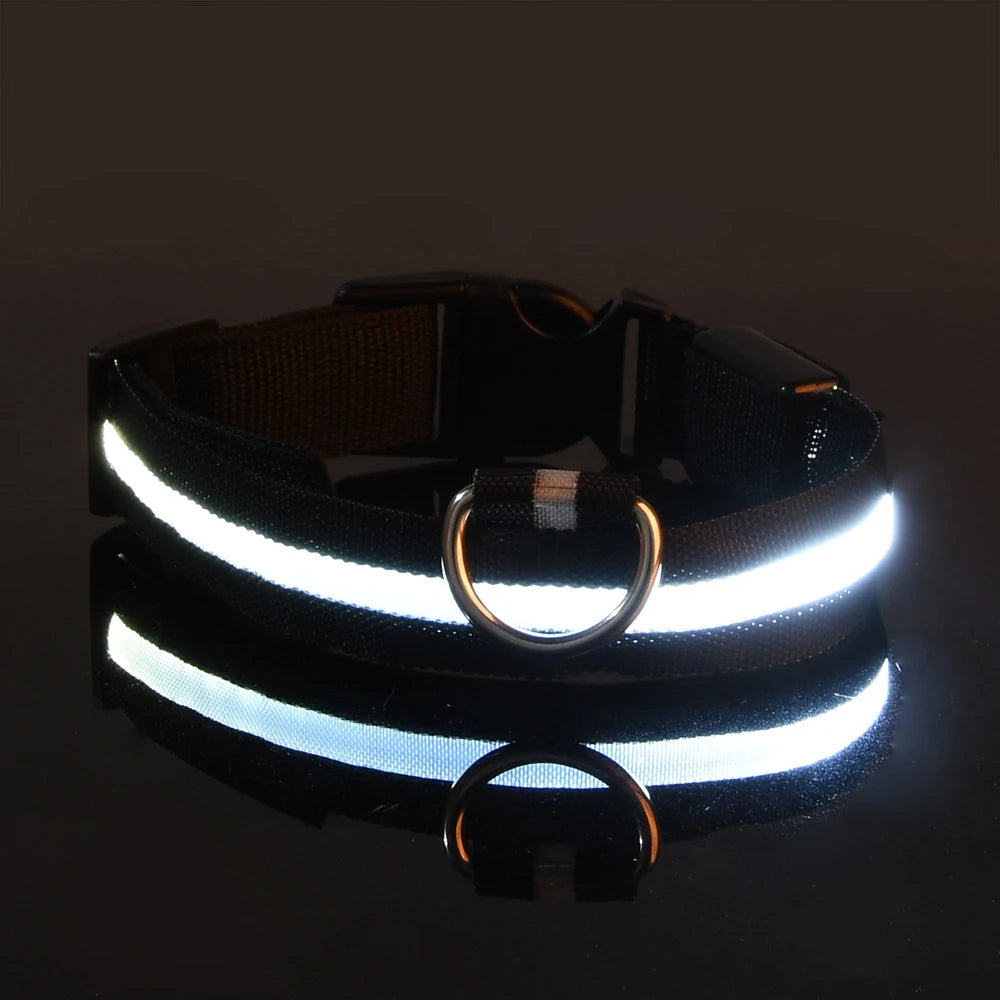 Coleira LED de Segurança para Passeios Noturnos