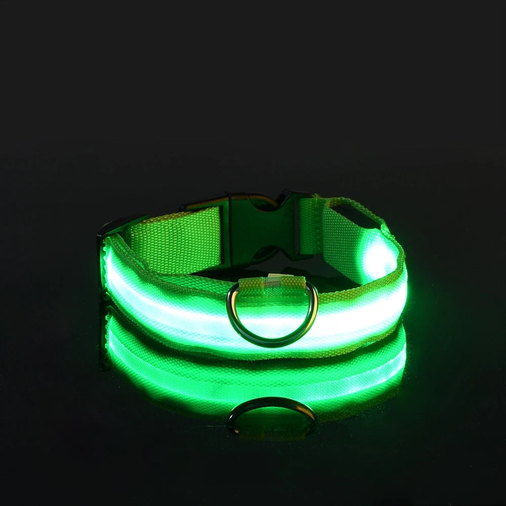 Coleira LED de Segurança para Passeios Noturnos