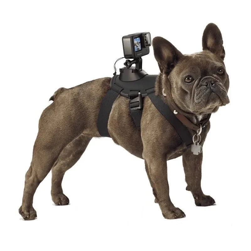 Suporte Peitoral para Câmeras de Ação PetCam