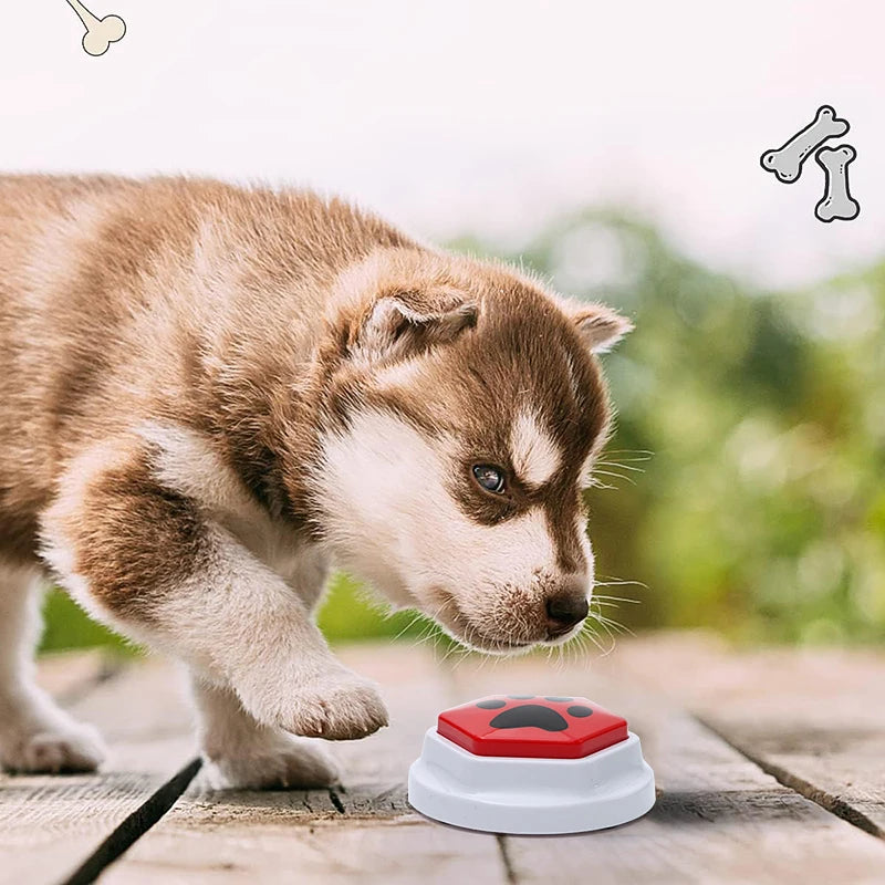 Botão Gravável para Comunicação Canina (unidade).