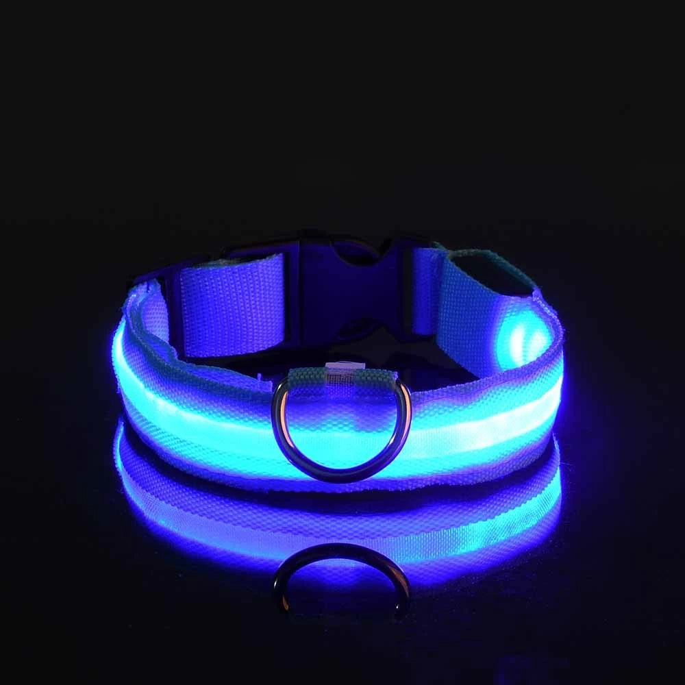Coleira LED de Segurança para Passeios Noturnos