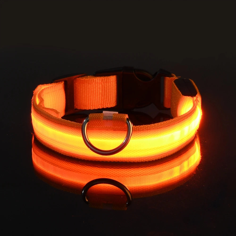 Coleira LED de Segurança para Passeios Noturnos