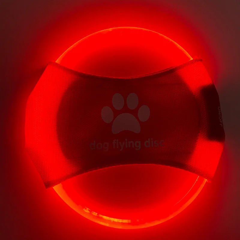 Frisbee LED Recarregável para Cães