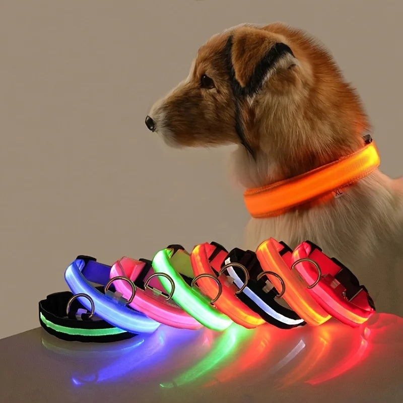 Coleira LED de Segurança para Passeios Noturnos
