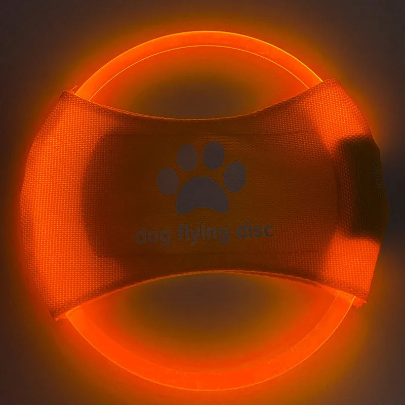Frisbee LED Recarregável para Cães