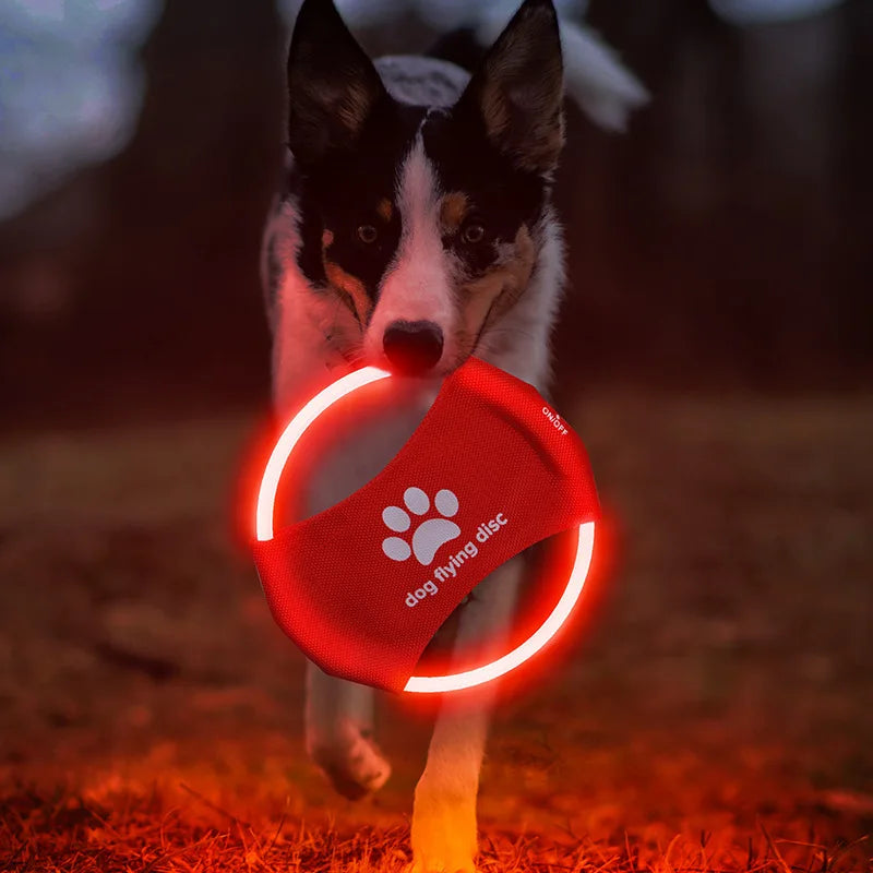 Frisbee LED Recarregável para Cães