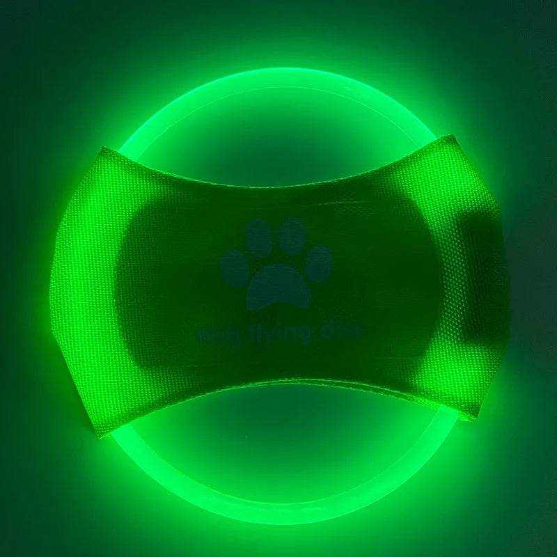 Frisbee LED Recarregável para Cães