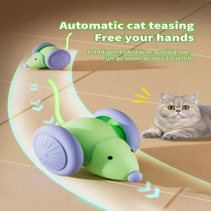 Bola Inteligente Interativa para Gatos