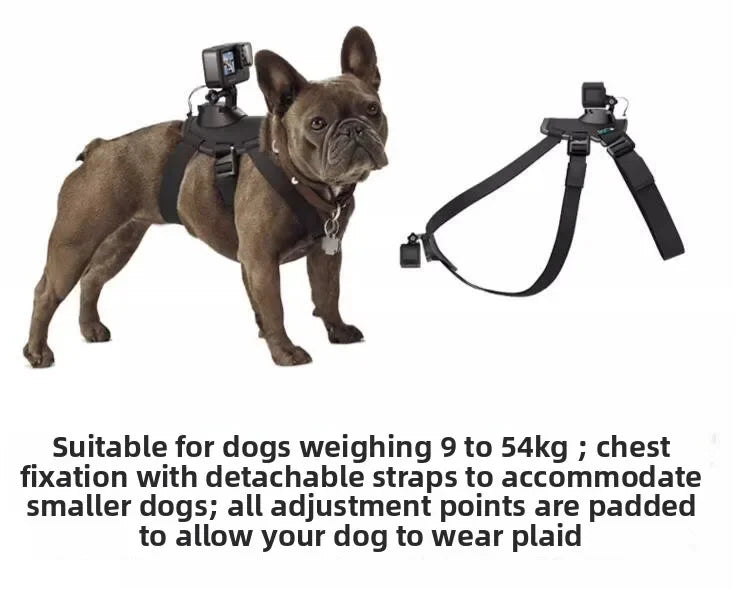 Suporte Peitoral para Câmeras de Ação PetCam