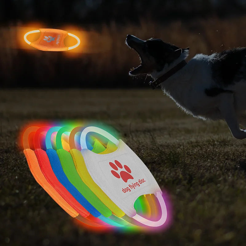 Frisbee LED Recarregável para Cães