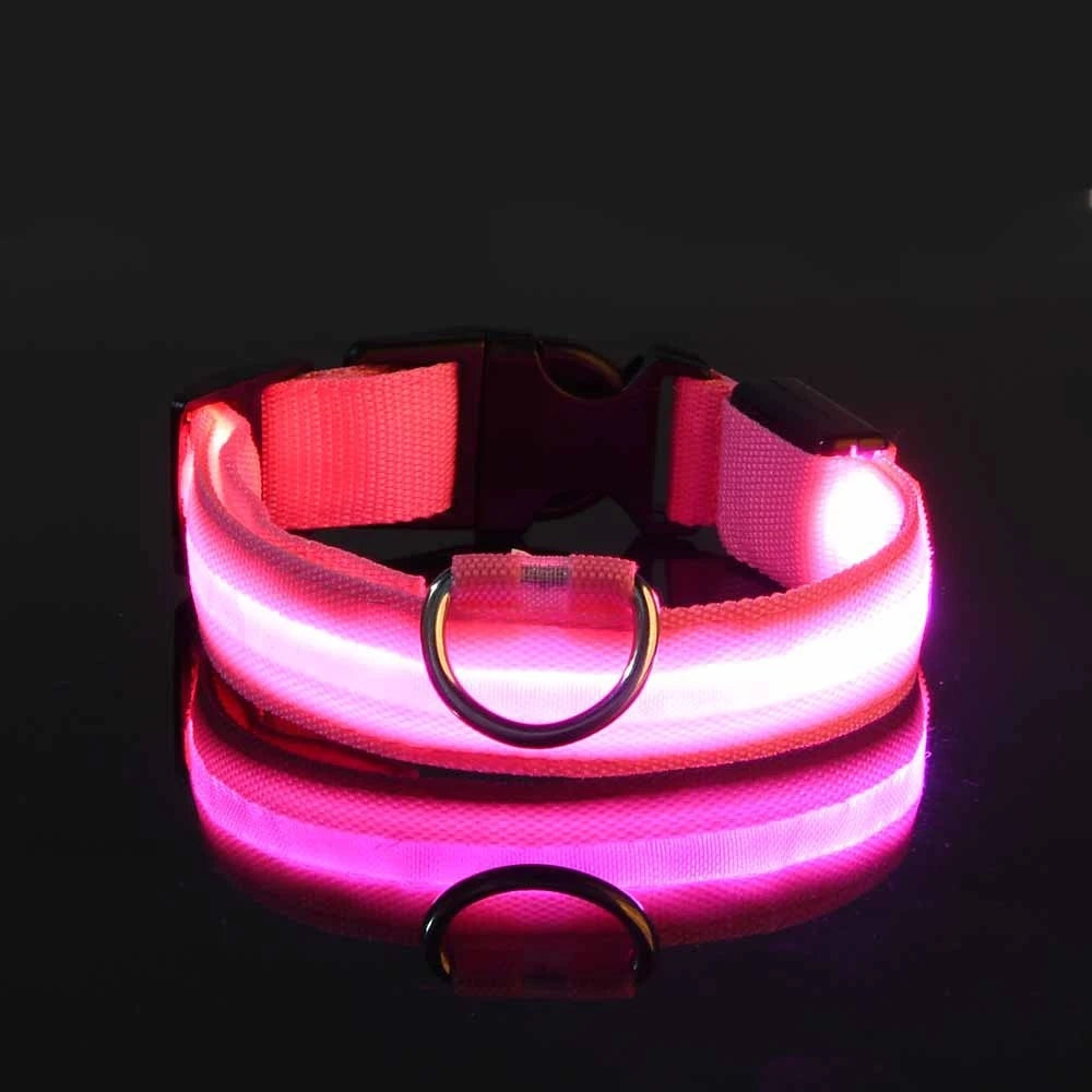 Coleira LED de Segurança para Passeios Noturnos