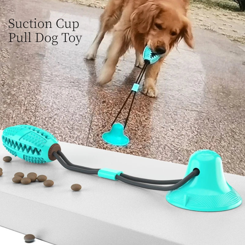 Mordedor com Dispenser de Petiscos para Cães