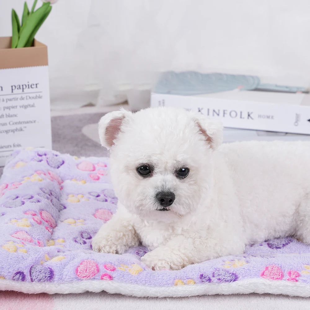 Cama Nuvem Soft para Cães e Gatos