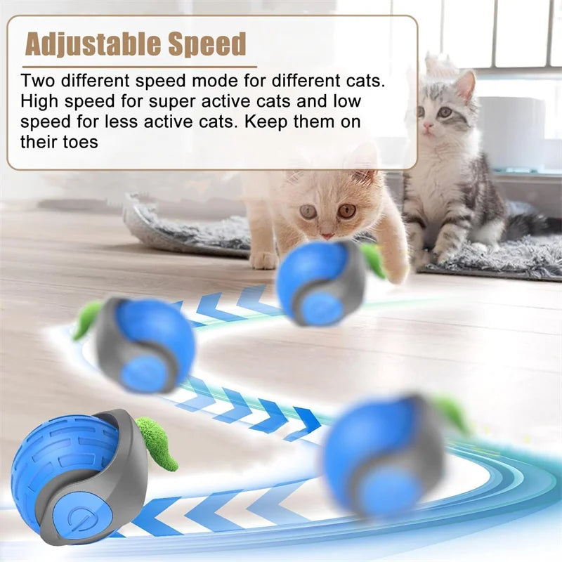 Bola Inteligente Interativa para Gatos