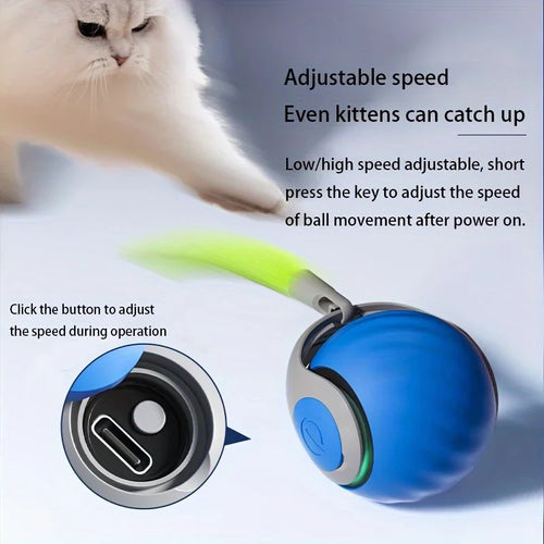 Bola Inteligente Interativa para Gatos